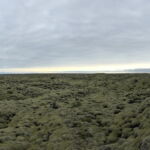 Lavafeld