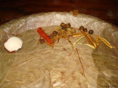 Schmeckt besser, als es aussieht Schmeckt besser, als es aussieht