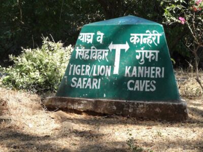 Tiger oder Höhle Tiger oder Höhle