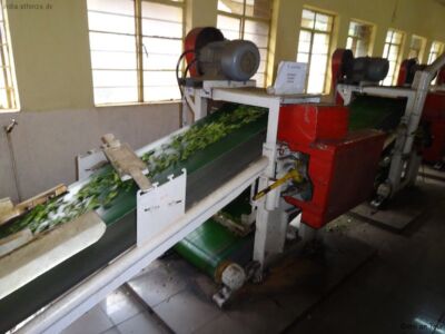 Zerkleinern und Auspressen Zerkleinern und Auspressen