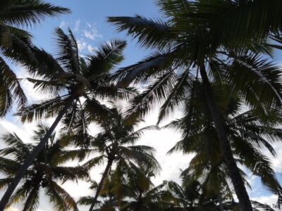 Aussicht aus der... Aussicht aus der...