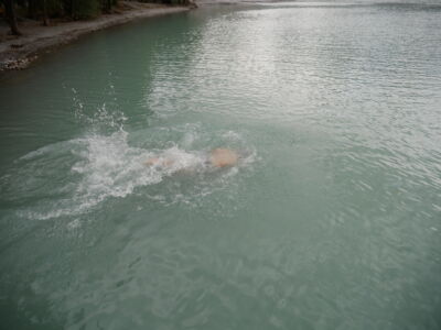 Sprung ins kalte Wasser