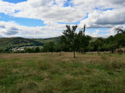 Blick auf Fischbach und Atzelberg