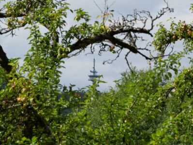 Fernmeldeturm Atzelberg