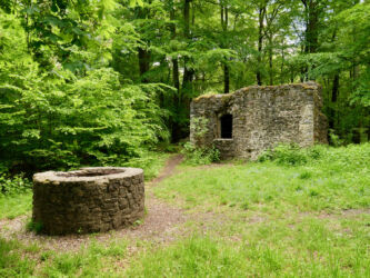 Servitenkloster St. Wolfgang - Brunnen und Sakristei