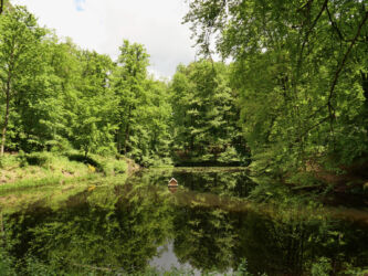 Waldsee Barbarossa Quelle