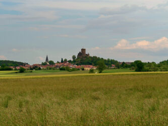 Blick auf die Burg Münzenberg