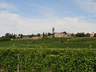 Castello di San Salvatore - Weingut Collalto