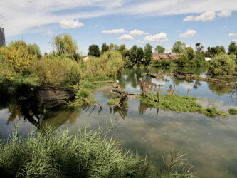 Schiffsfriedhof an der Sile
