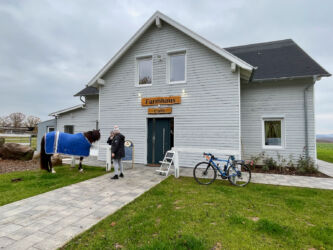 Zwei blaue Pferde vorm Cafe