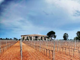 Bodegas (Weingut) Vi Rei