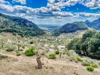 Blick runter Blick runter