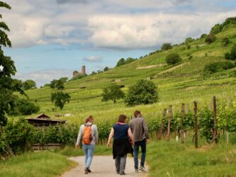 Blick zur Strahlenburg