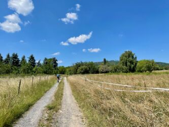 Anstieg zum Hausberg