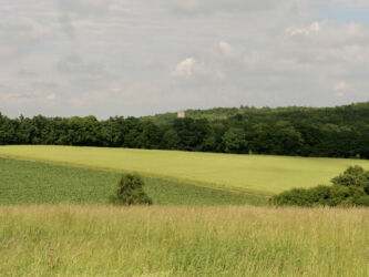Blick auf den Wartturm Baldersheim