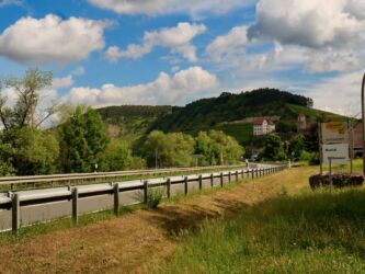 Schloss Homburg und Weinberge