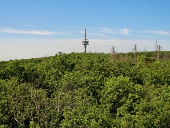Steinkopf vom Wintersteinturm