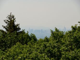 Frankfurt vom Wintersteinturm