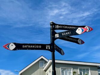 Immer dem Schnabel nach