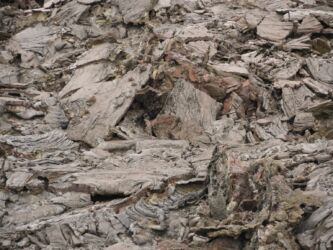 Krasse Strukturen Krasse Strukturen