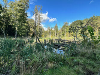 Naturpark Unteres Odertal