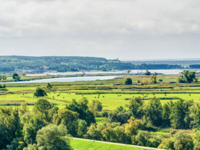 Blick auf das Untere Odertal von Stützkow
