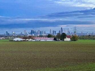 Skylineblick bei Eschborn