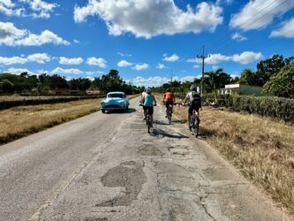 Auf dem Weg zur Scheinebucht