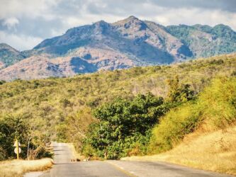 Ziegen auf der Straße