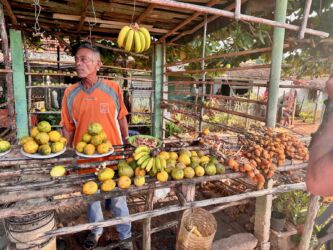 Maracujas, Bananen und Mausananas