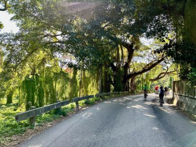 El Bosque de la Habana
