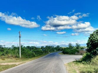 Blick in Richtung Parque Nacional La Güira