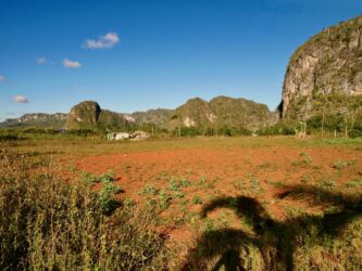Sierra de los Órganos (Orgelpfeifengebirge)