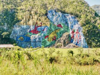 "Geschichte der Evolution" von Leovigildo Gonzáles