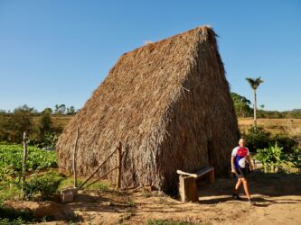 Trockenhütte für den Tabak