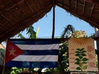 Fünf Blättersorten