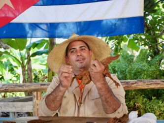 Entfernen des Stengels