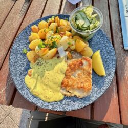 An der See ist man Fisch