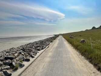 Elberadweg bei Ottendorf