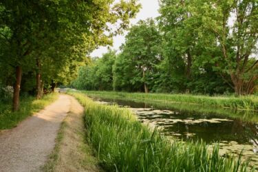 Ludwig-Donau-Main-Kanal