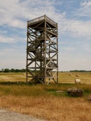 Aussichtsturm Elbtalaue