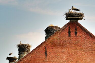 Storchendorf Rühstädt