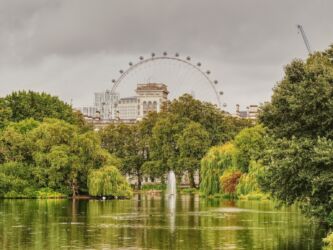 London Eye vom St. James Park