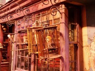 Eeylops Eulenkaufhaus