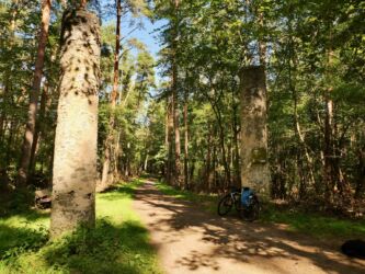 Galgen von Steinheim