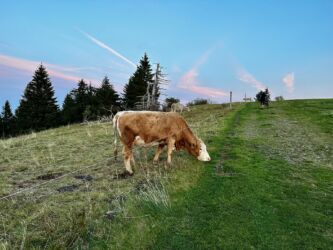 Weg zur Kissinger Hütte