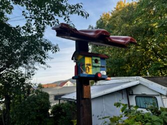 Auch die Vögel campen