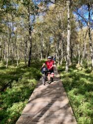 Bohlenweg durch das Moor