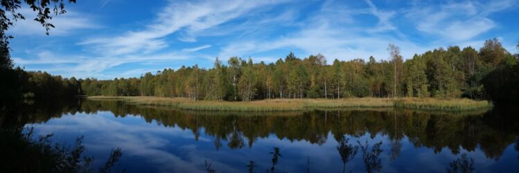 Rotes Moor (Panorama)