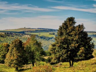 Wasserkuppe vom Hochrhönradweg